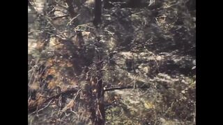 1981 – Erotic Interludes (720)